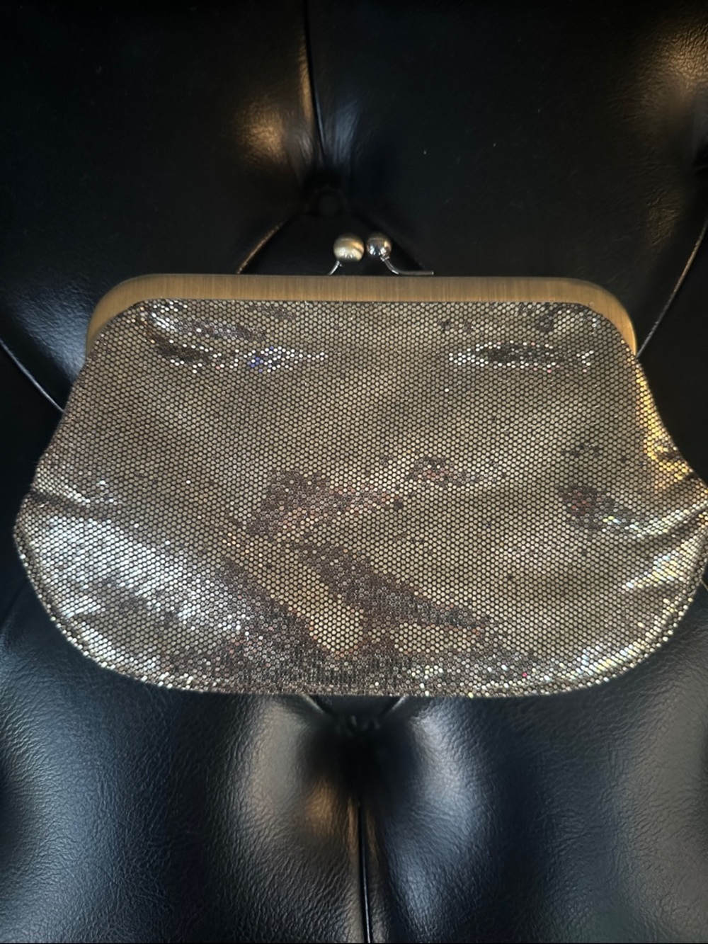 Express Gold Purse